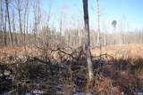 TBA Slate River Mill Rd - Photo 19