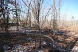 TBA Slate River Mill Rd - Photo 20