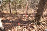 TBA Slate River Mill Rd - Photo 21