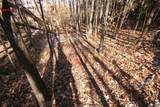 TBA Slate River Mill Rd - Photo 22