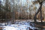 TBA Slate River Mill Rd - Photo 25