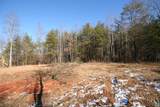 TBA Slate River Mill Rd - Photo 28