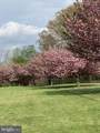 30 Ironwood - Photo 43