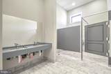 13230 Petrel Street - Photo 35