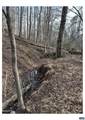 0 Fishing Creek Ln - Photo 5
