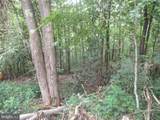 1000 Snake Rd - Photo 2