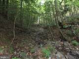 1000 Snake Rd - Photo 3