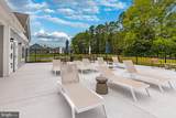 35321 Stray Doe Way - Photo 17