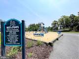 36506 Pebble Drive - Photo 48