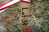 16106 Bealle Hill Road - Photo 6