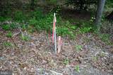 16106 Bealle Hill Road - Photo 8