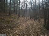  Lot 16 Hodges Lane - Photo 14