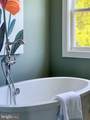 131 Dolittle Farm Road - Photo 72