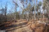  Sir Johns Run Road - Photo 23