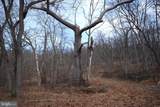  Sir Johns Run Road - Photo 41