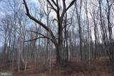  Sir Johns Run Road - Photo 43
