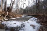  Sir Johns Run Road - Photo 6