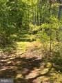  Elk Run - Photo 3