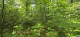 14314 Willis Ct - Photo 8