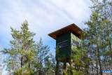 0 Foothills Rd - Photo 16