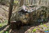 0 Foothills Rd - Photo 45