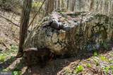 0 Foothills Road - Photo 33