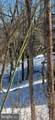 28 Brent Street - Photo 4