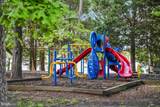 11505 Beacon Hill Court - Photo 47