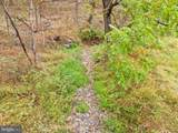 LOT 24M Bloomery Pike - Photo 14