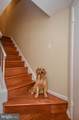 8711 Ravenglass Way - Photo 15