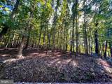 1604 High Knob Road - Photo 81