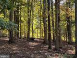 1604 High Knob Road - Photo 84