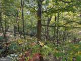 1604 High Knob Road - Photo 94