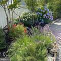 1100-A Long Beach Blvd - Photo 32