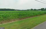 0 Levin Dashiell Road - Photo 8