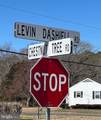 0 Levin Dashiell Road - Photo 9