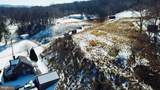 3500 Paw Paw Road - Photo 46