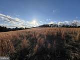 38.43 Acres Howard Sions Road - Photo 10