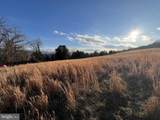 38.43 Acres Howard Sions Road - Photo 11
