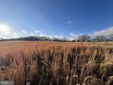 38.43 Acres Howard Sions Road - Photo 12