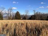 38.43 Acres Howard Sions Road - Photo 3