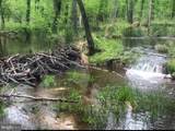  Petzold Drive - Photo 9