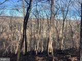 LOT 49 & Lot 50 Hackberry Ln - Photo 24