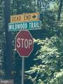  Wildwood Trail (Lot 22) - Photo 6