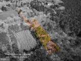0 Polks Road - Photo 6