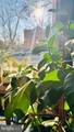 3601 Wisconsin Avenue - Photo 3