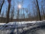  Boonsboro Mt. Road - Photo 4