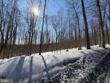  Boonsboro Mt. Road - Photo 5