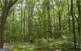 12223 Molly Berry Rd. - Photo 4