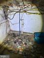 3323 Mutter Street - Photo 10